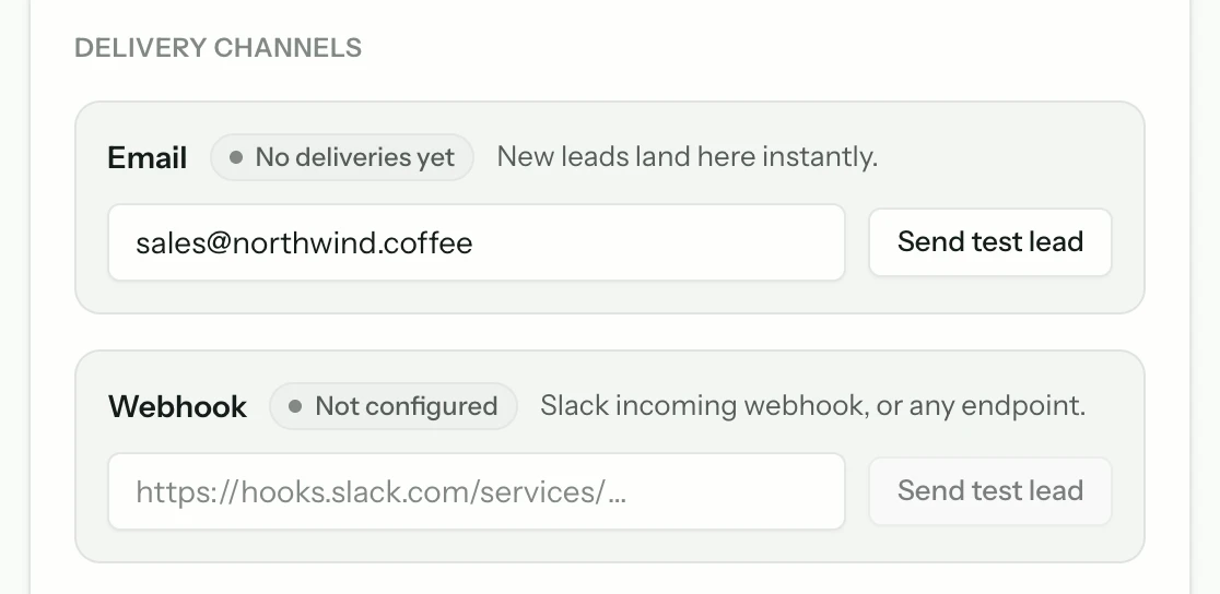 Lead delivery settings with an email address and a webhook endpoint, each with a button to send a test lead.