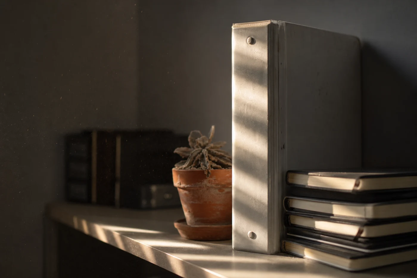 A thick ring-bound handbook standing unopened on an office shelf, a shaft of blind-striped sunlight across its dusty spine.